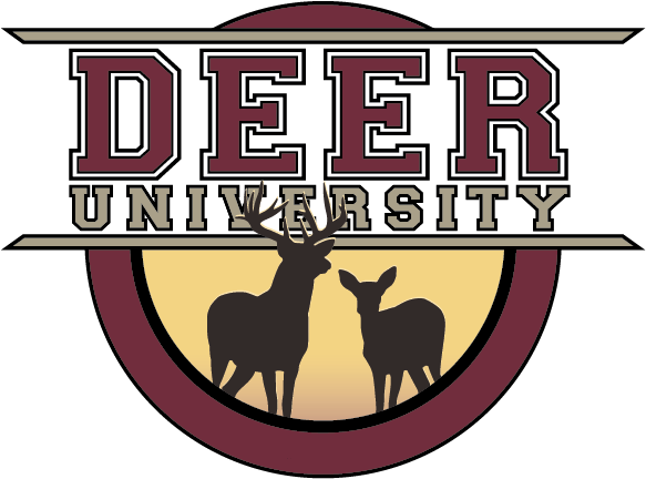 Msu Deer Podcast - Deer University (591x442), Png Download
