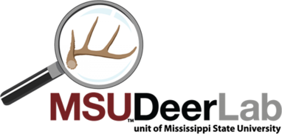 Once - Msu Deer Lab (900x427), Png Download