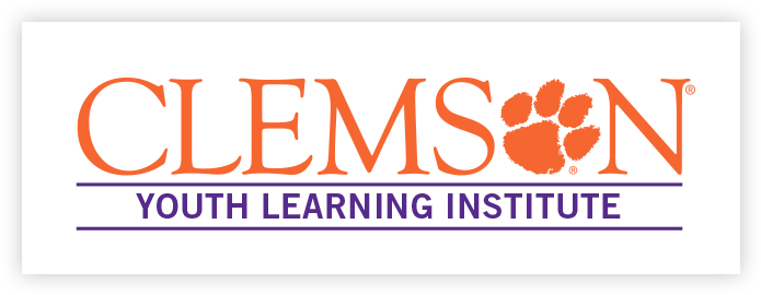 Clemson Youth Learning Institute - Calhoun Honors College Logo (728x304), Png Download