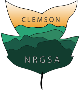 Picture - Clemson University (353x354), Png Download
