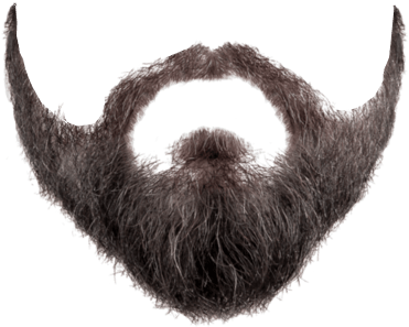 Full Face Beard Images Pinterest - Beard Png (400x335), Png Download