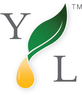 New Types Of Members At Young Living - Young Living (375x375), Png Download