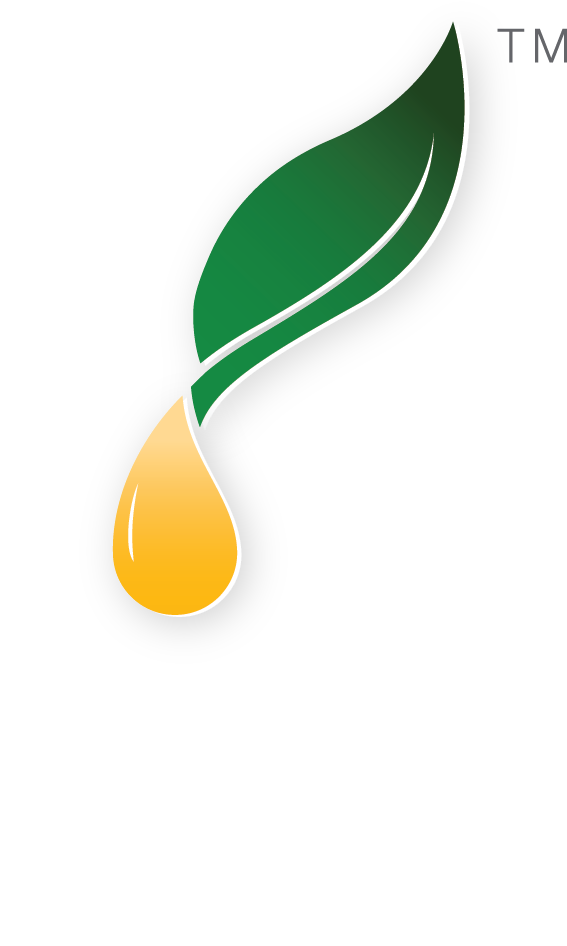 Download Young Living Essential Oils Logo Young Living Full Size