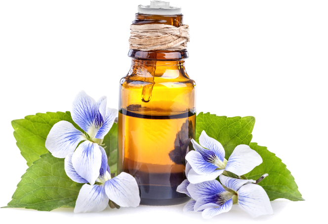 Sign Up Now - Aceites Esenciales Do Terra (664x453), Png Download