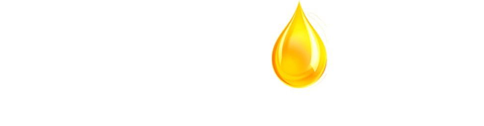 Home - Holiday Aisle Thanksgiving Indoor/outdoor Throw Pillow, (1000x279), Png Download