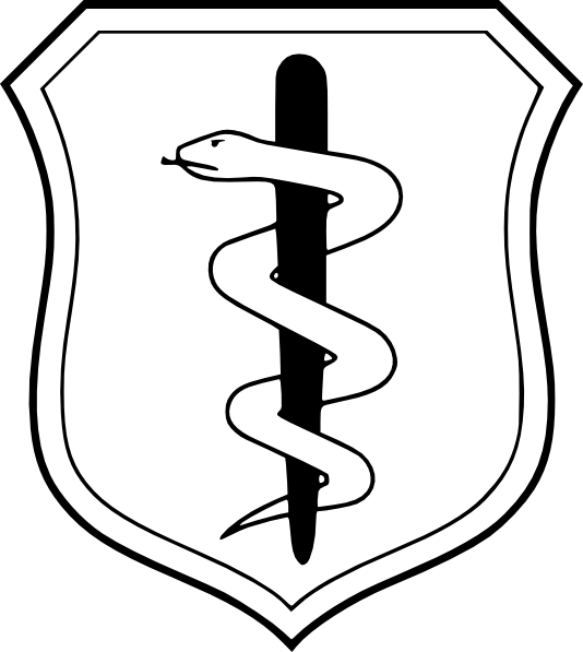 Blank White Shield Clip Art - Air Force Medical Corps (534x597), Png Download