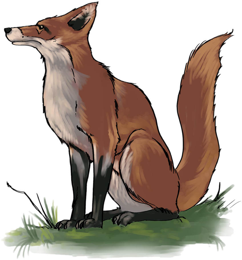 Fox Clipart School Pencil And In Color Fox Clipart - Clip Art (886x987), Png Download