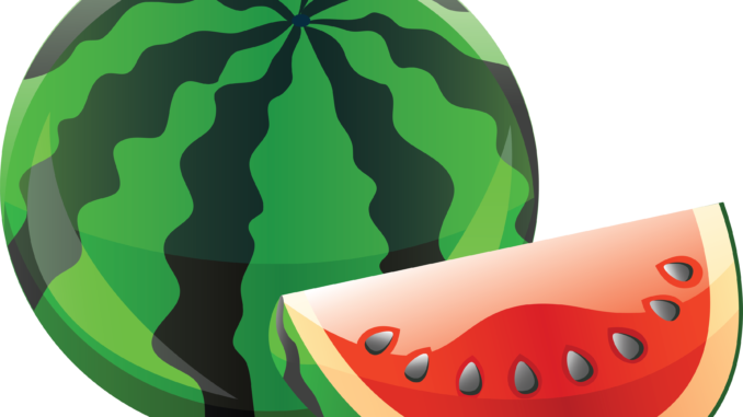 Banner Freeuse Stock Free Watermelon Clipart - Transparent Background Watermelon Clipart (678x381), Png Download