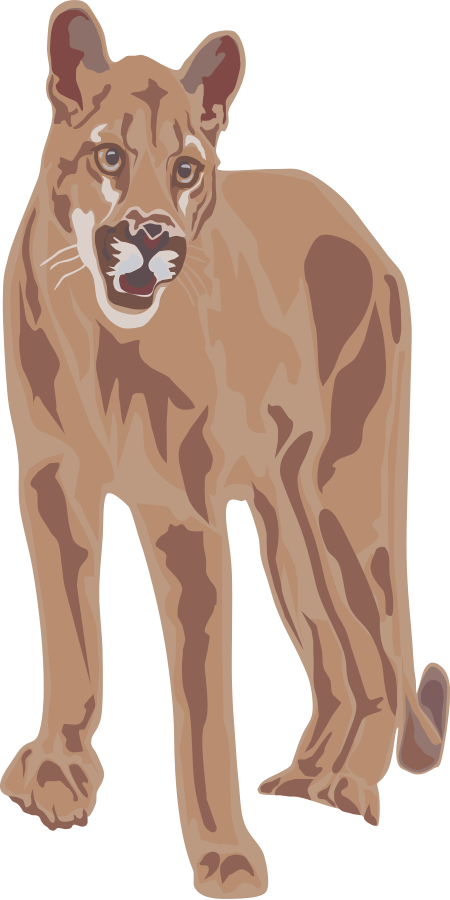 Tiger Clipart Png (300x600), Png Download