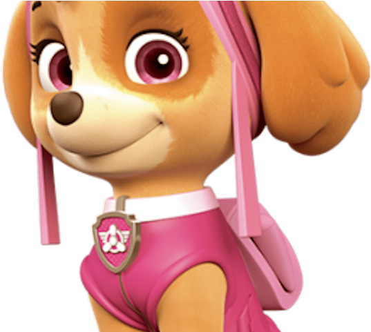 Download Head Clipart Paw Patrol Paw Patrol 3rd Birthday Card Full Size Png Image Pngkit