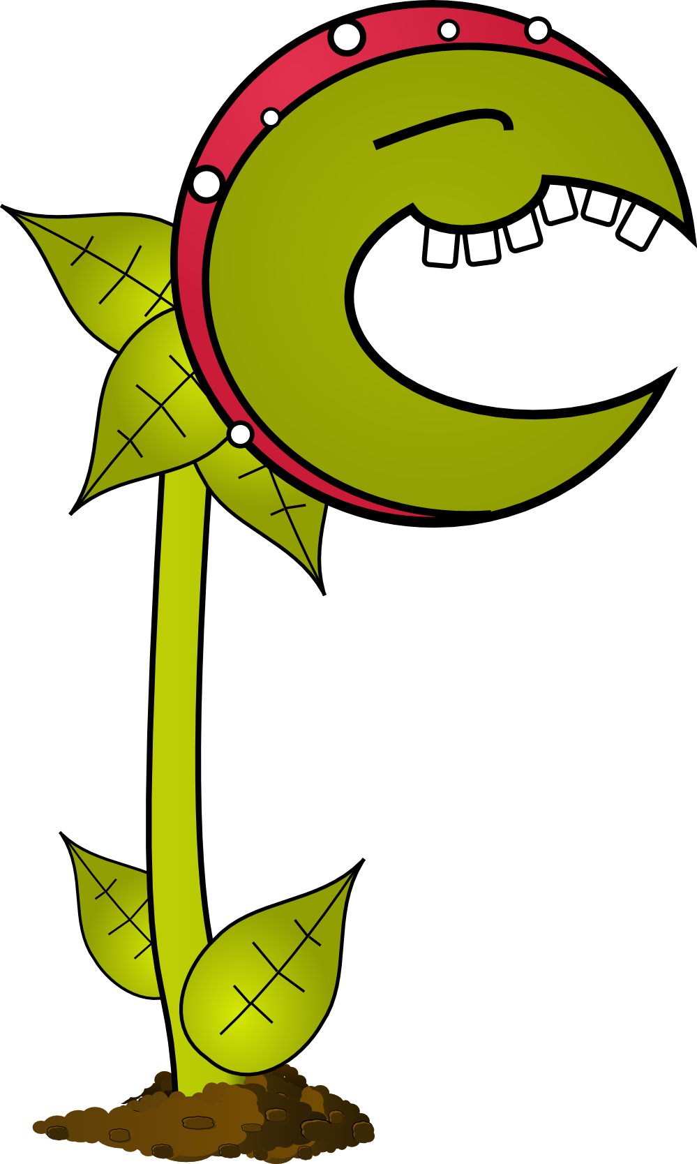Cartoon Plant Clipart Png - Clipart Plant Cartoon (999x1668), Png Download