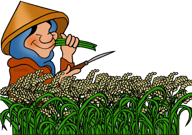 Rice Free On Dumielauxepices - Clipart Rice Plant (640x480), Png Download