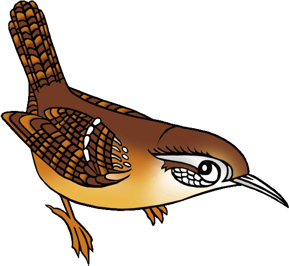Wren Clipart Florida - Cactus Wren Clip Art (648x591), Png Download