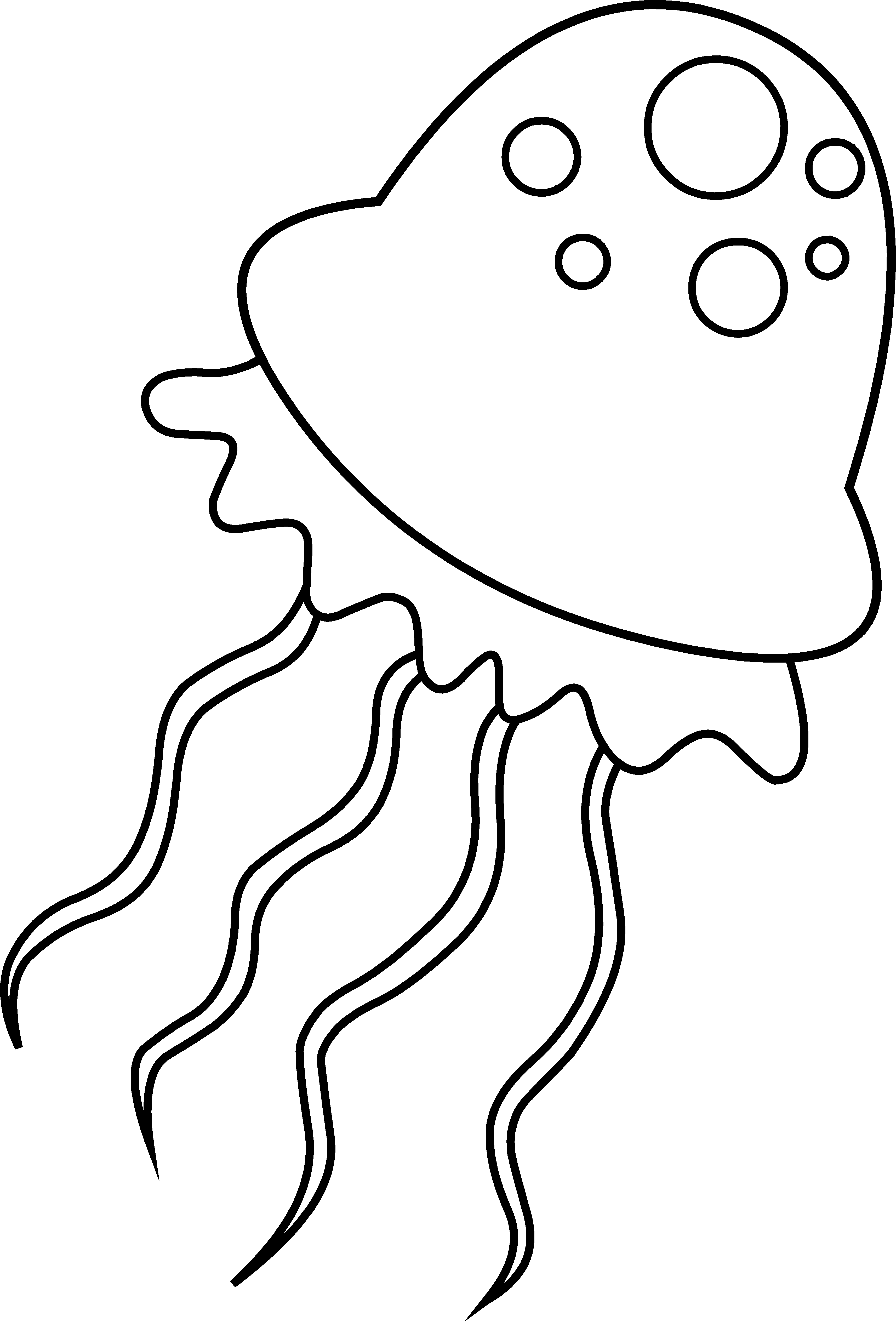 Jellyfish Coloring Page - Jellyfish Clipart Black And White Png (3427x5056), Png Download