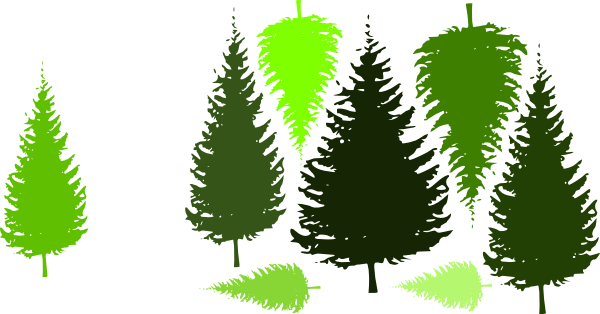 Pine Tree Grouping By Jc Clip Art - Pine Tree Silhouette (600x314), Png Download