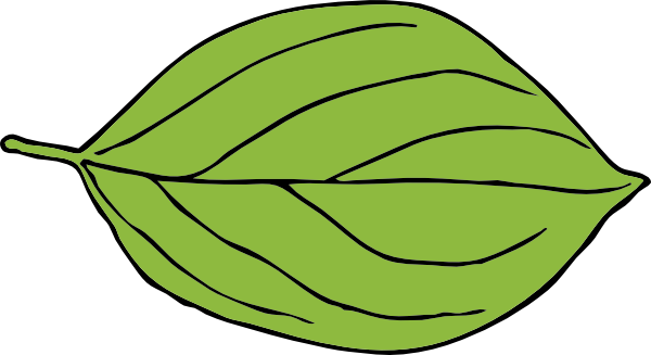 Apple Leaf Template - Leaf Clipart (600x327), Png Download