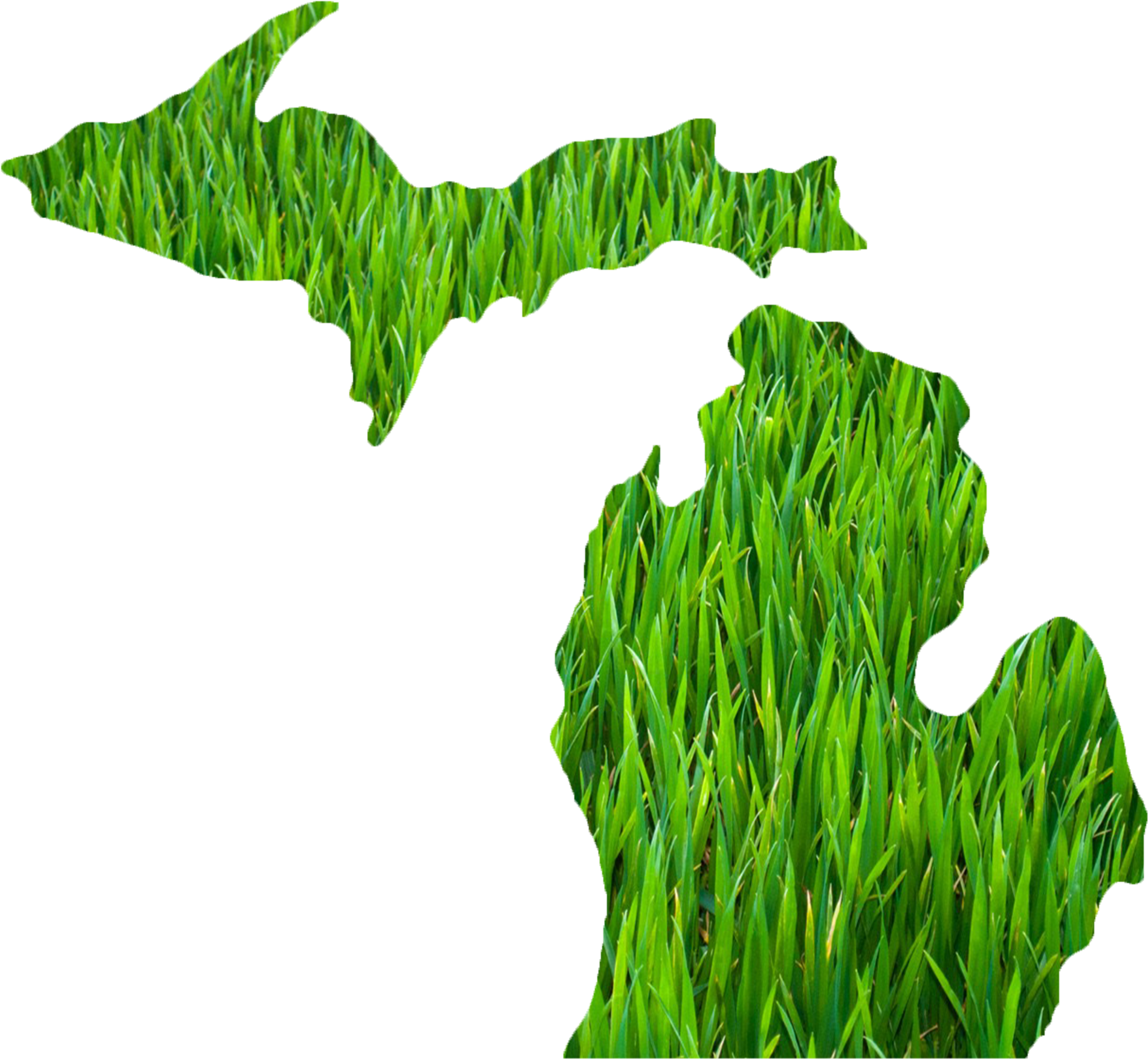 Michigan Outline Grass - State Of Michigan (1910x1776), Png Download