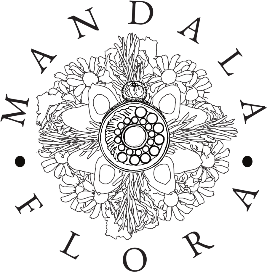 Mandala Flora Logo Outline W Text (1000x1000), Png Download