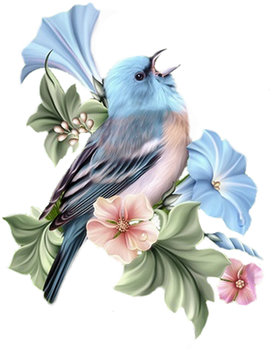 Read It - Barnali Bagchi Cage Png (446x500), Png Download