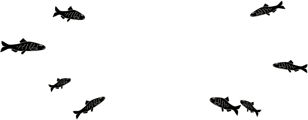 School Of Fish - School Of Fish Transparent (1001x390), Png Download
