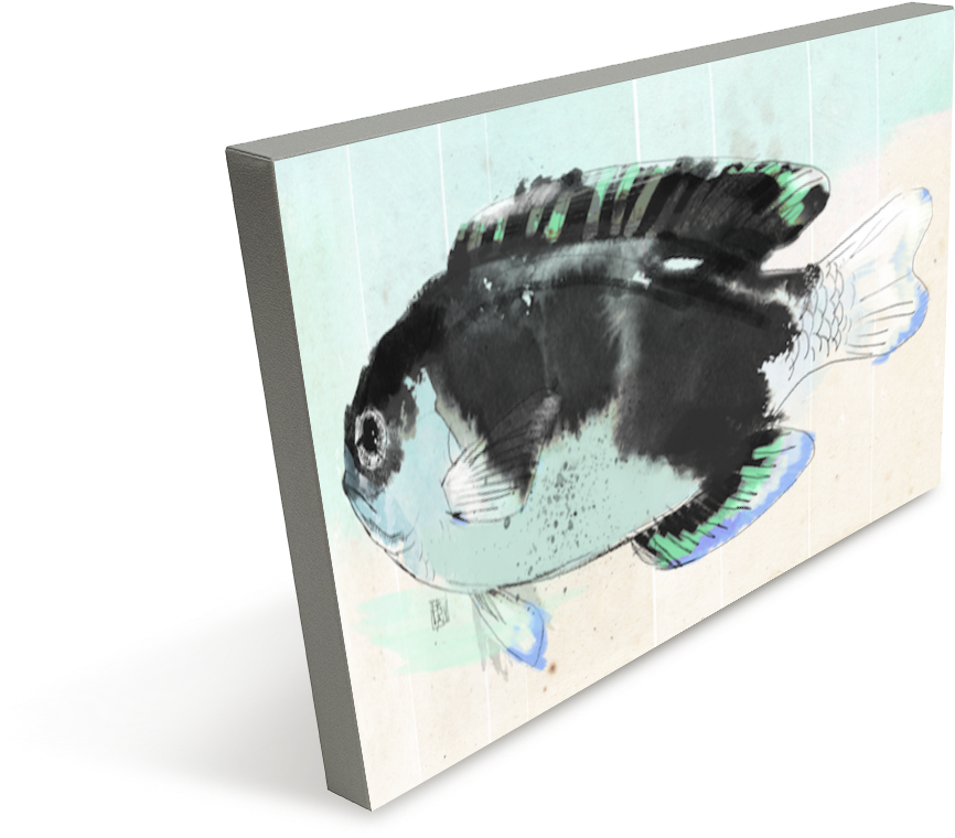 School Of Fish - Fish (1008x1008), Png Download