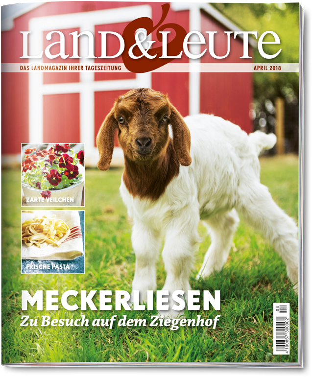 Welchen Tageszeitungen Land & Leute Beiliegt Erfahren - Stock Photography (750x885), Png Download