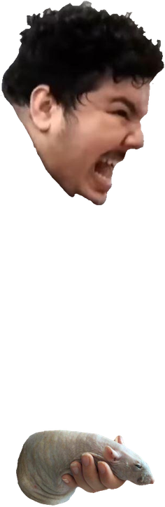 Chin Nose Forehead Neck - I M Squeezing My Hog (235x765), Png Download
