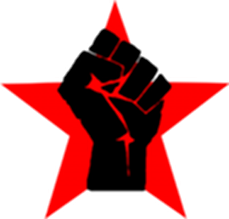 Black Power Logo - Black Panthers Party Flag (800x765), Png Download