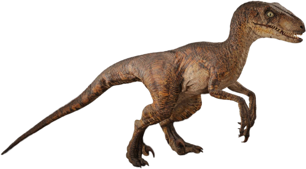 Jurassic Park Velociraptor By Camo Flauge-dcewck1 - Jurassic Park Velociraptor Png (1024x605), Png Download