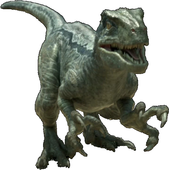 Jurassic World Velociraptor V4 By Sonichedgehog2-da9f2eg - Stegosaurus Jurassic World 2 (604x671), Png Download