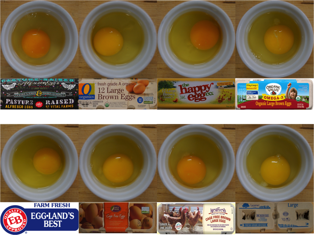 Eggs With Cartons 1 (1000x750), Png Download