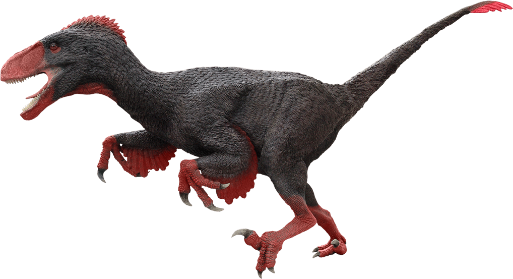 Utahraptor - Utahraptor Dinosaur (1040x552), Png Download