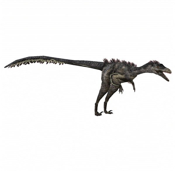Jurassic Park Velociraptor Png (600x600), Png Download