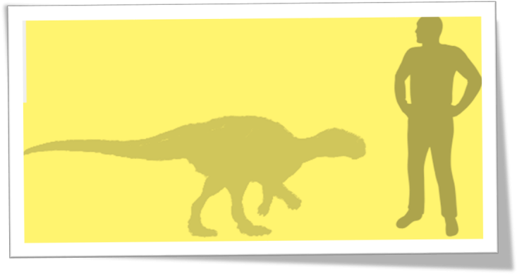 Zalmoxes-768x412 - Zalmoxes (768x412), Png Download