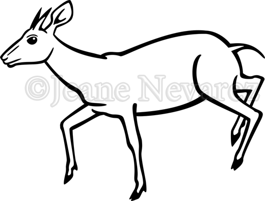 Art By Jeane Nevarez - Duiker Vector (520x396), Png Download