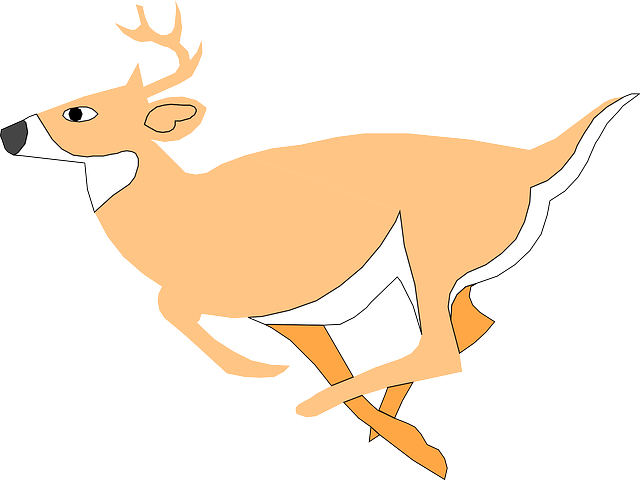 Cartoon, Deer, Running, Art, Forest, Jumping, Leaping - Deer Cartoon Png Gif (640x480), Png Download