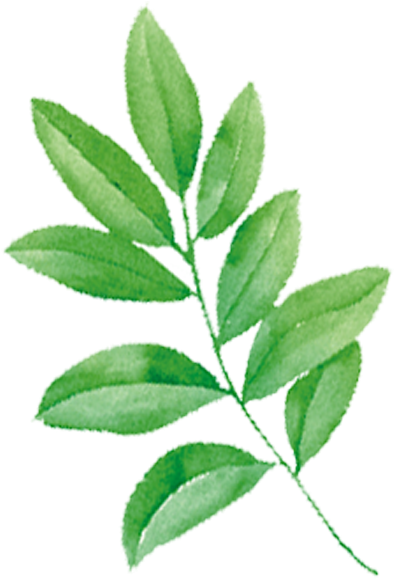 Tmall Cosmetics Shower Gel Jd - Hand Painted Leaf Png (800x800), Png Download