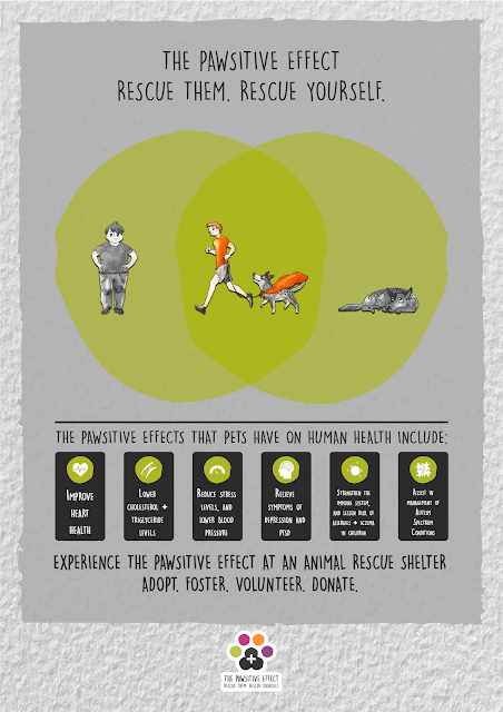 Research (452x640), Png Download