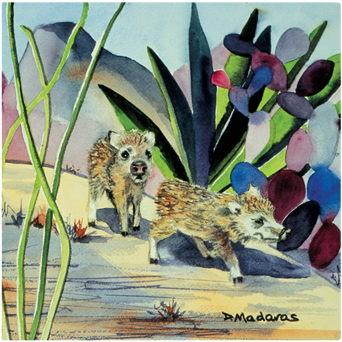 Looking For Mom - Tucson (600x450), Png Download