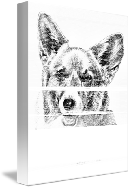 Drawn Corgi Transparent - Drawing (447x650), Png Download