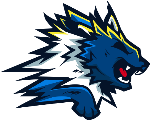 Flash Point - Logo Team Esport Png (527x408), Png Download