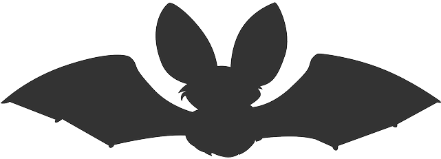 Bat, Animal, Dark, Flying, Night, Scary, Silhouette - Pipistrelle Gillian Clarke (640x320), Png Download