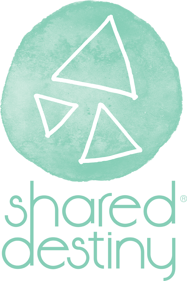 Shareddestinylogo Web - Bee (765x1149), Png Download