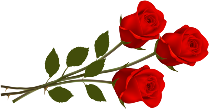 Rosas En Png - Thank You Rose Flowers (700x446), Png Download