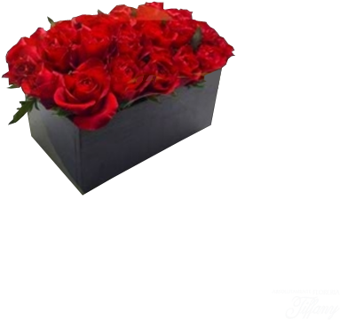 Caja De Rosas - Garden Roses (500x500), Png Download