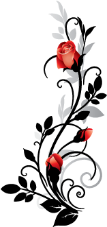 Curtido Curtir Compartilhar - Decorative Flower Designs Border (350x350), Png Download