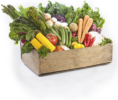 Fruits And Veggies - Vegetable (385x327), Png Download