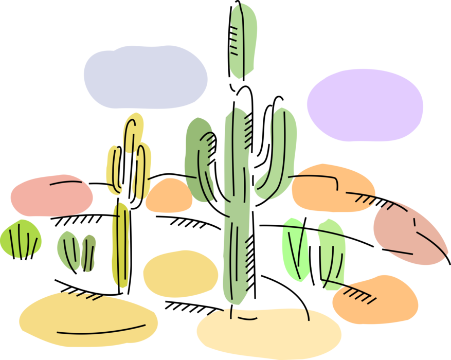 Desert Cactus Plant In Sonoran Desert - Desert (877x700), Png Download