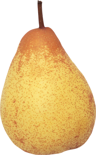 Pear - Груша (312x500), Png Download
