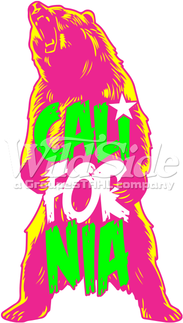 California Bear Standing Neon - Illustration (675x675), Png Download